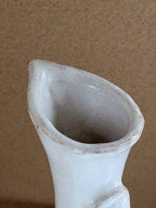 White Pitcher
