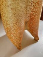 Apricot Twinspire