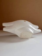 White  Wings