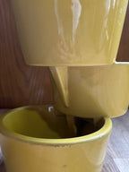 IMG_3916.jpeg