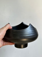 Black Points