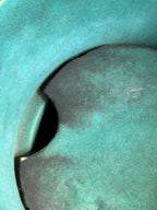 IMG_4247.jpeg
