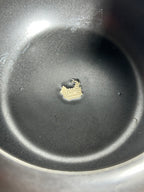 IMG_4981.jpeg