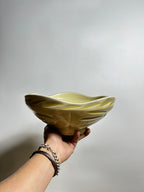 IMG_5242.jpeg