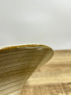 IMG_5695.jpeg