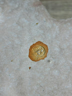IMG_6761.jpeg