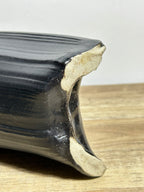 IMG_7031.jpeg