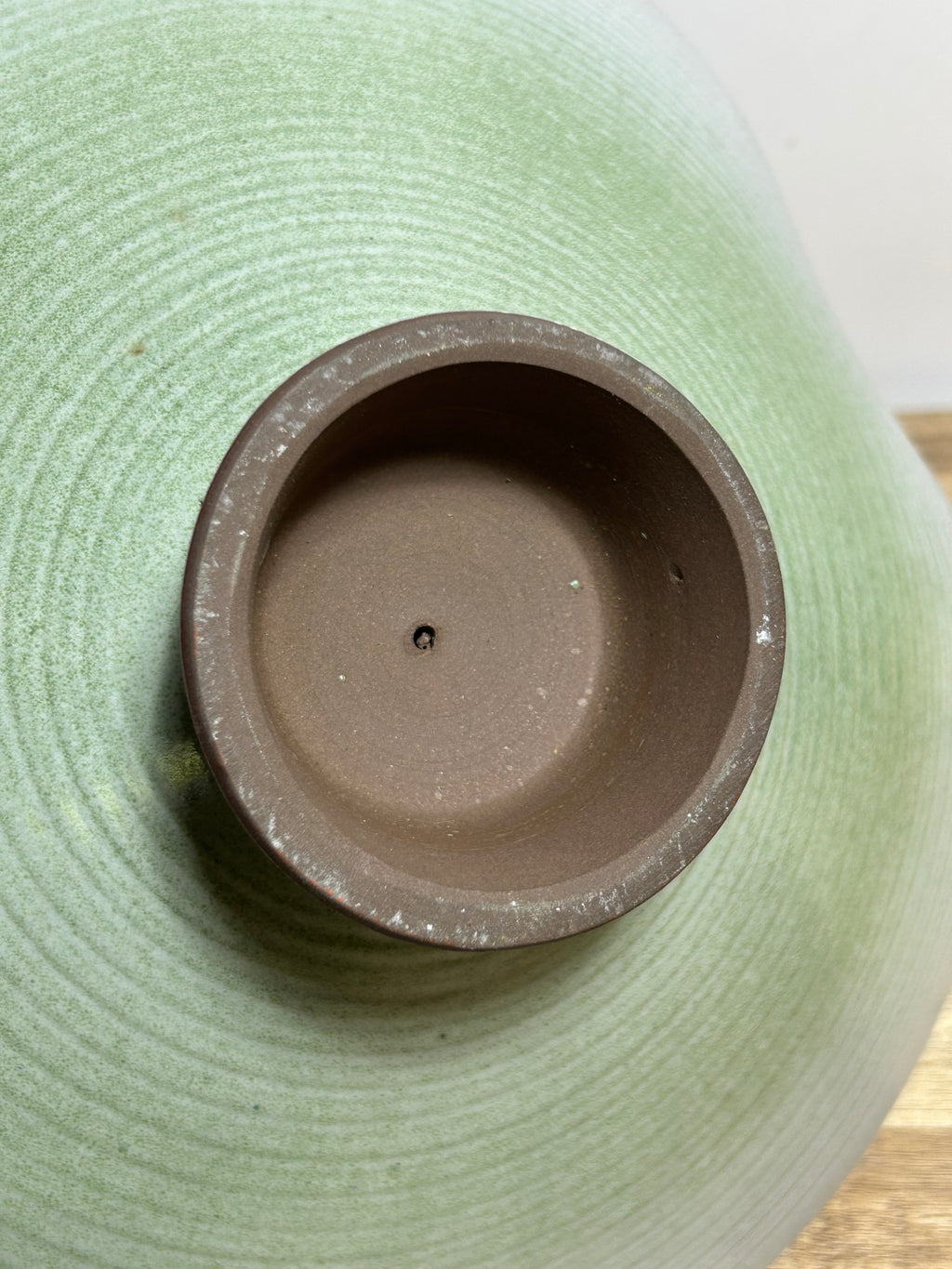 Celadon Capsule