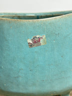 IMG_7889.jpeg