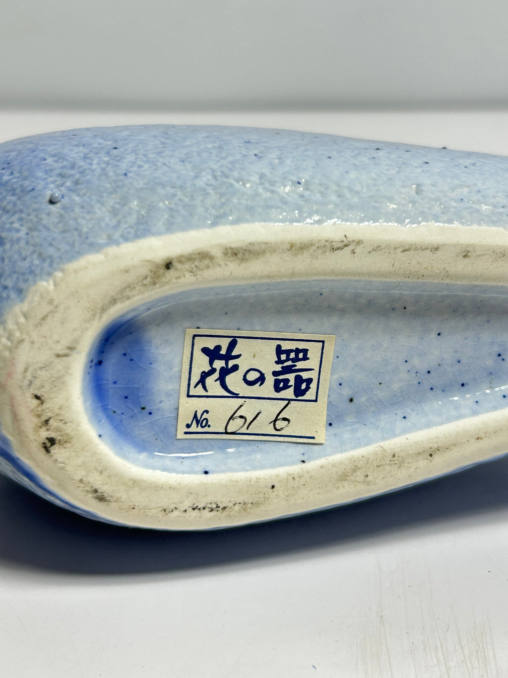 Baby Blue Biomorphic